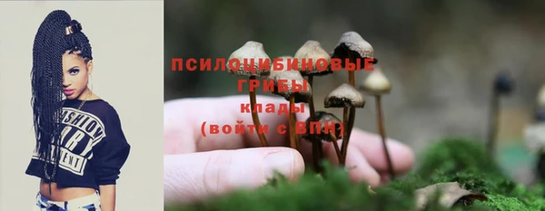 соль ск Алексеевка