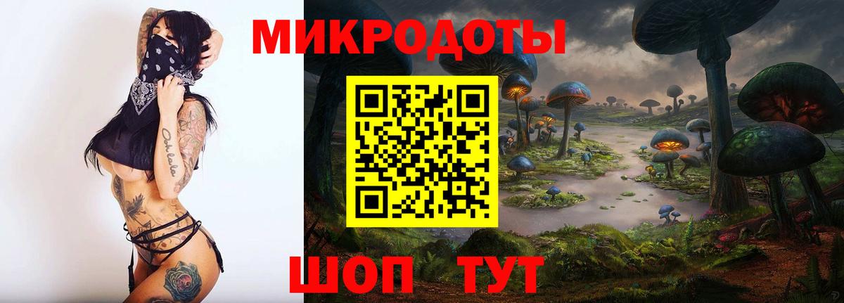 Галлюциногенные грибы Psilocybe Кудрово