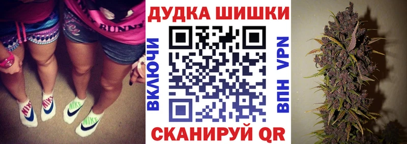 сколько стоит Кудрово Бошки Шишки план